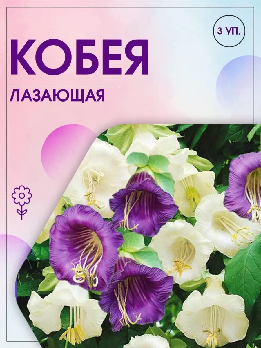 Кобея лазающая Смесь окрасок,Набор из 3-х упаковок Агрохолдинг Поиск купить  по цене 158 ₽ в интернет-магазине Wildberries | 28812668