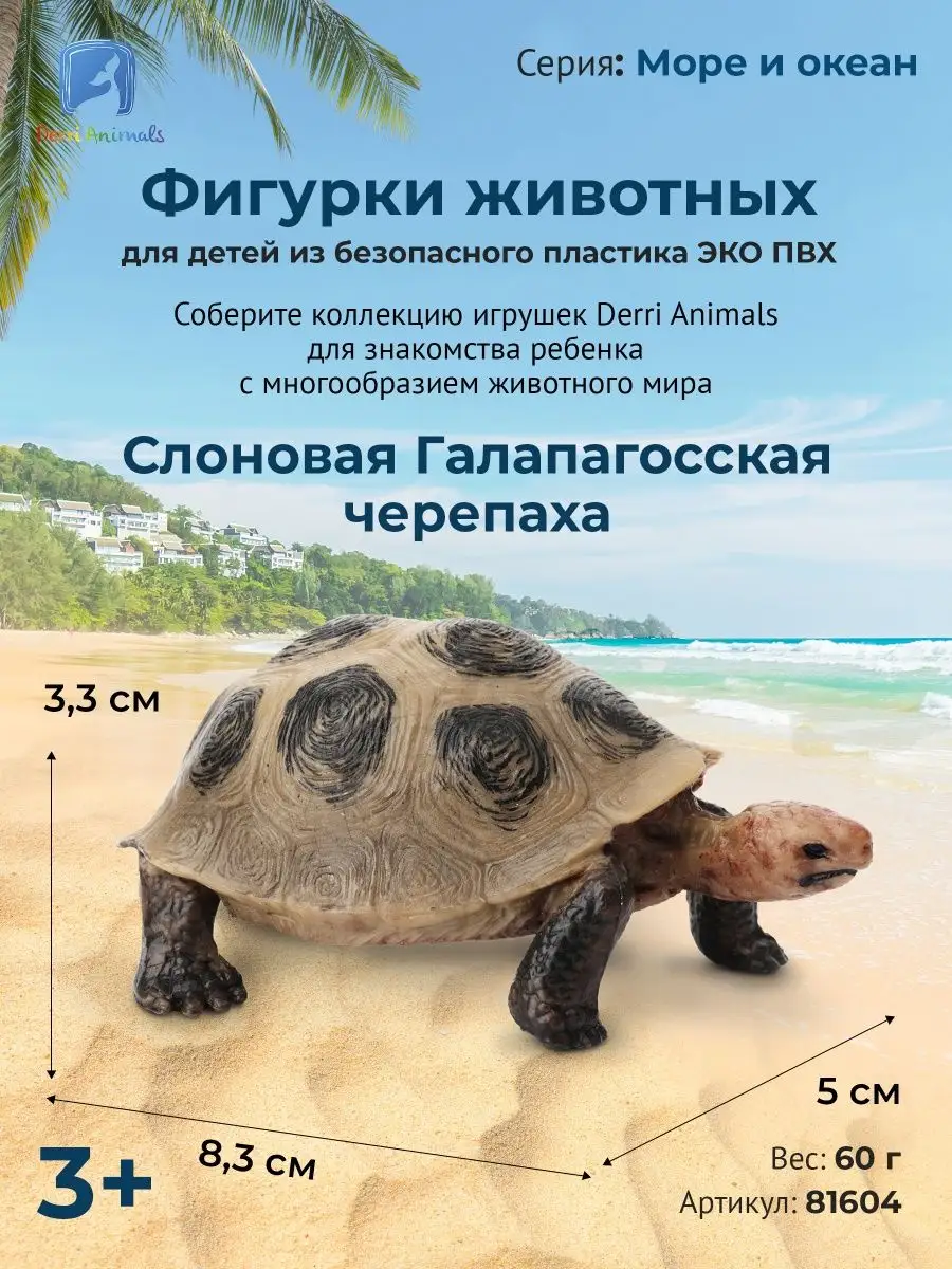 Фигурка Слоновая черепаха, 81604 Derri Animals купить по цене 398 ₽ в  интернет-магазине Wildberries | 28870362