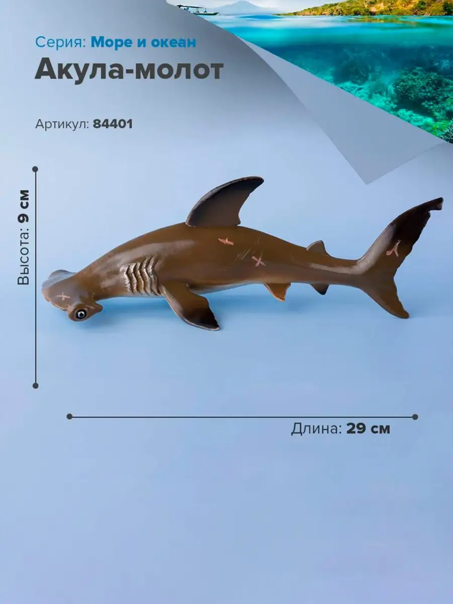 Фигурка животного Акула-молот Большая XXL 84401 Derri Animals купить по  цене 887 ₽ в интернет-магазине Wildberries | 28870915
