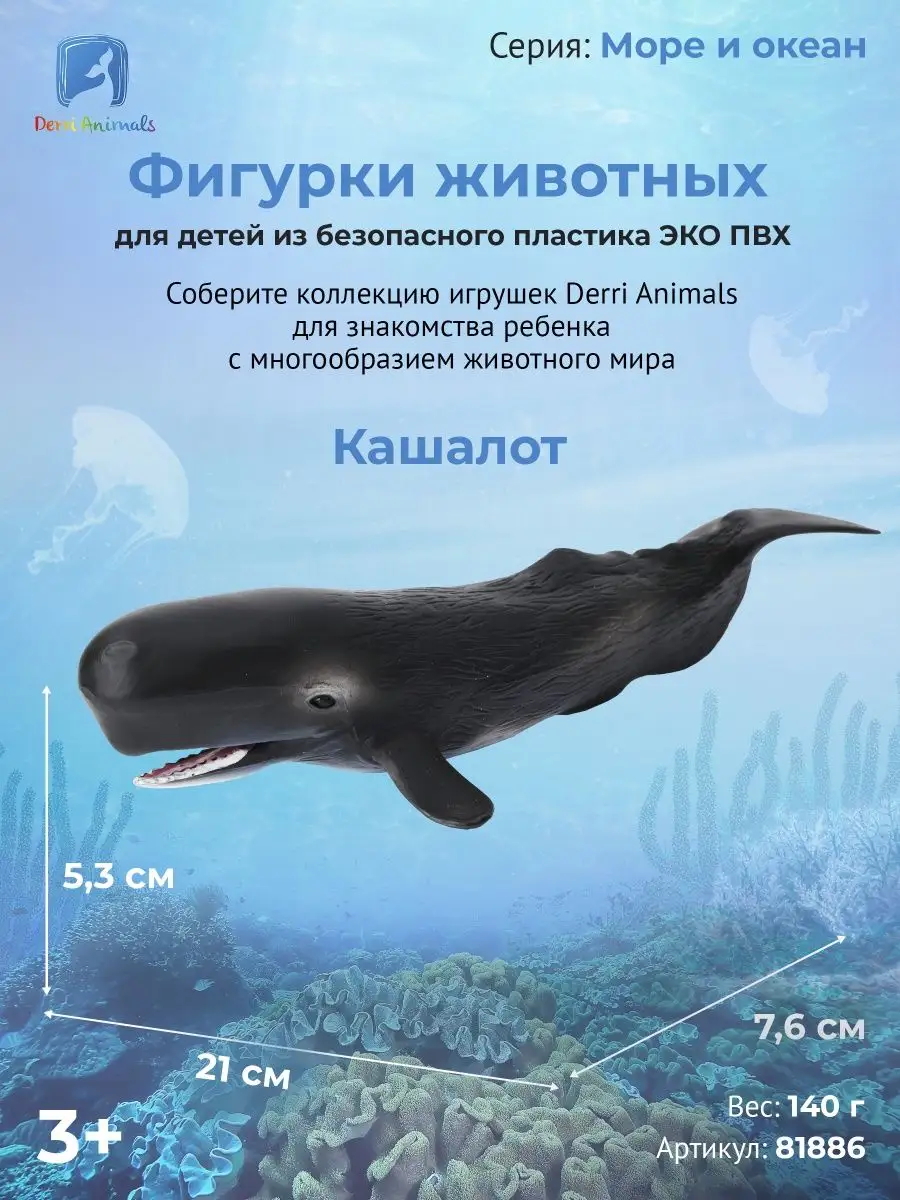 Фигурка животного Кит Кашалот, 81886 Derri Animals купить по цене 569 ₽ в  интернет-магазине Wildberries | 28871460