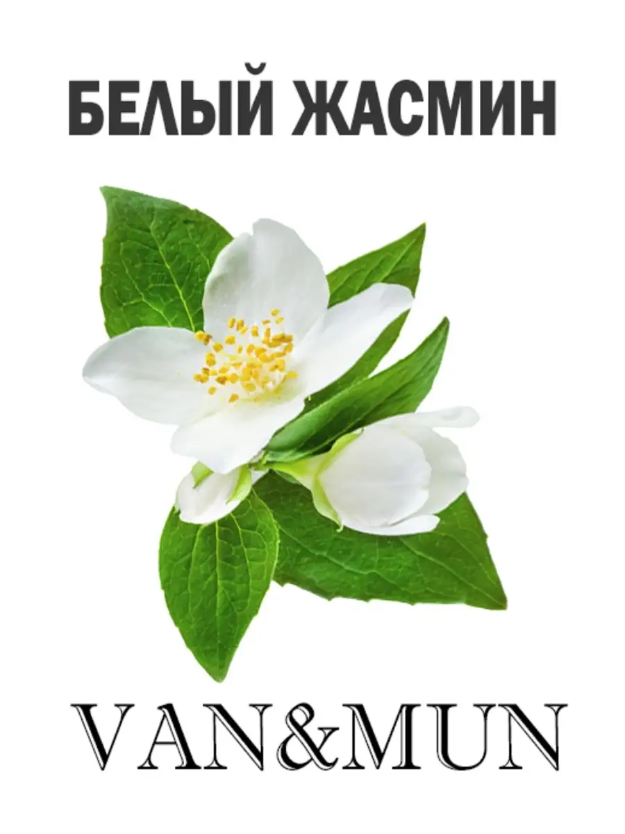 Аромат белого жасмина
