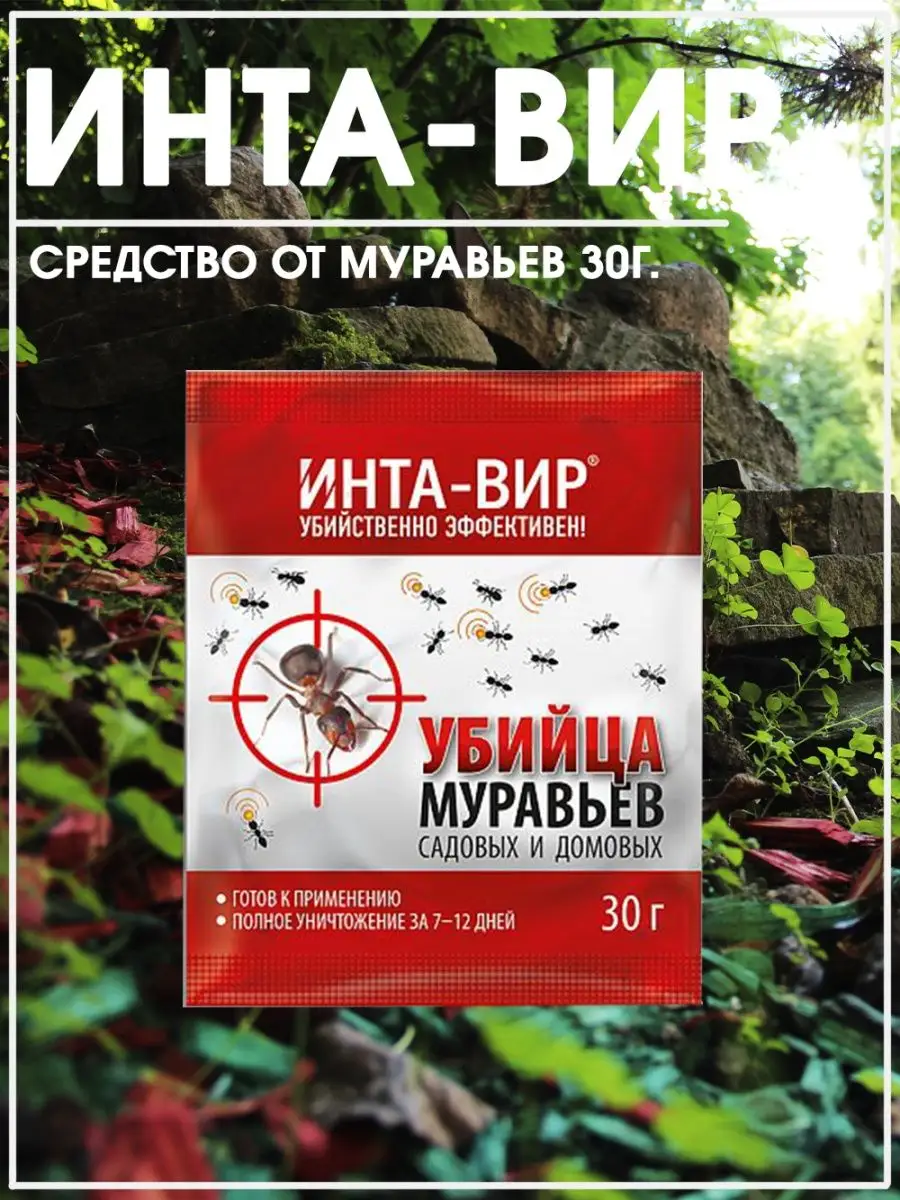 Средство от муравьев Убийца муравьев 30 гр-1 уп Инта Вир купить по цене 135  ₽ в интернет-магазине Wildberries | 29640043