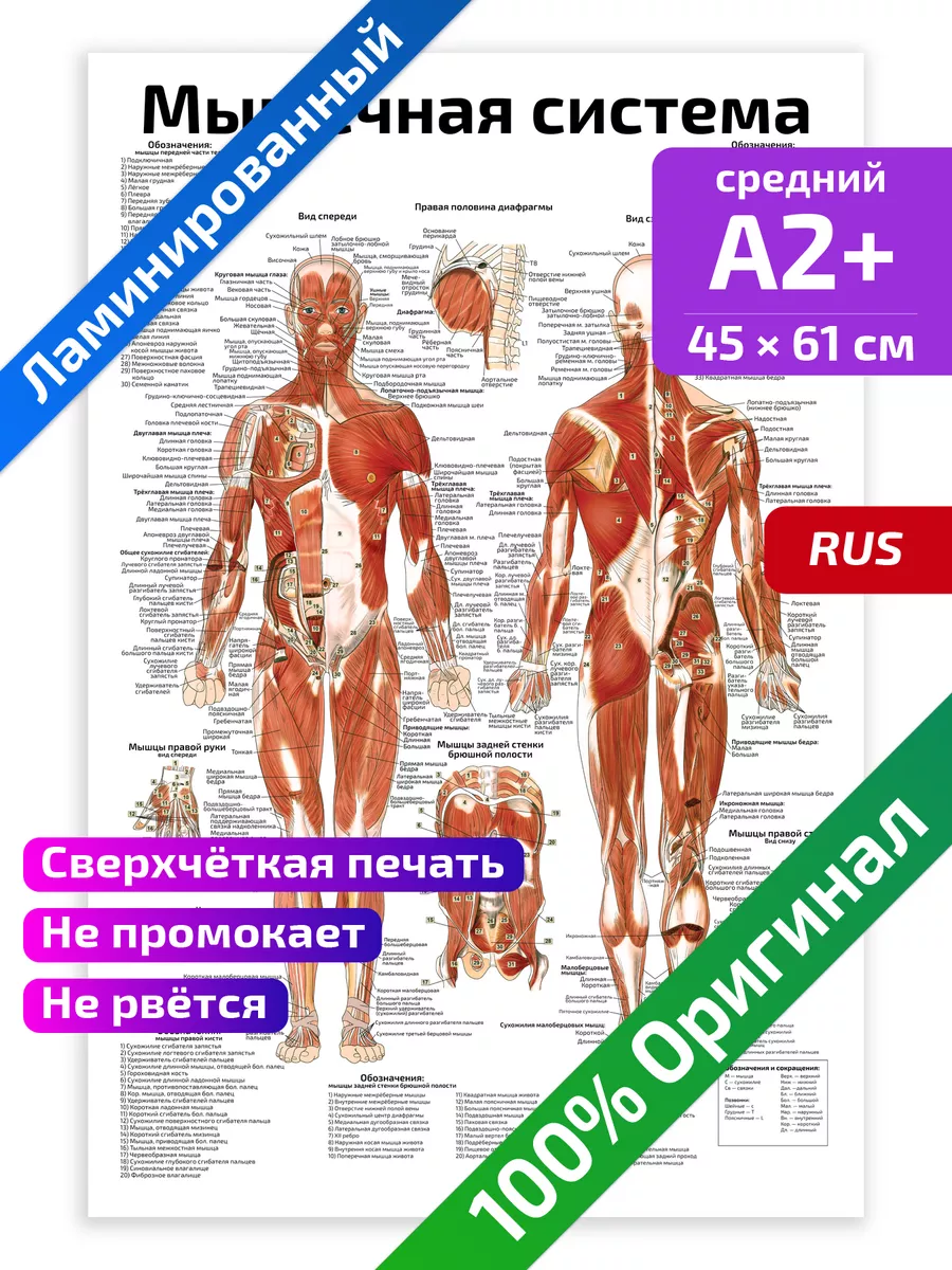 На дне ( сколько стоит любовь ) 86х55 см плакат киноафиша, СССР оригинал 1989 г.