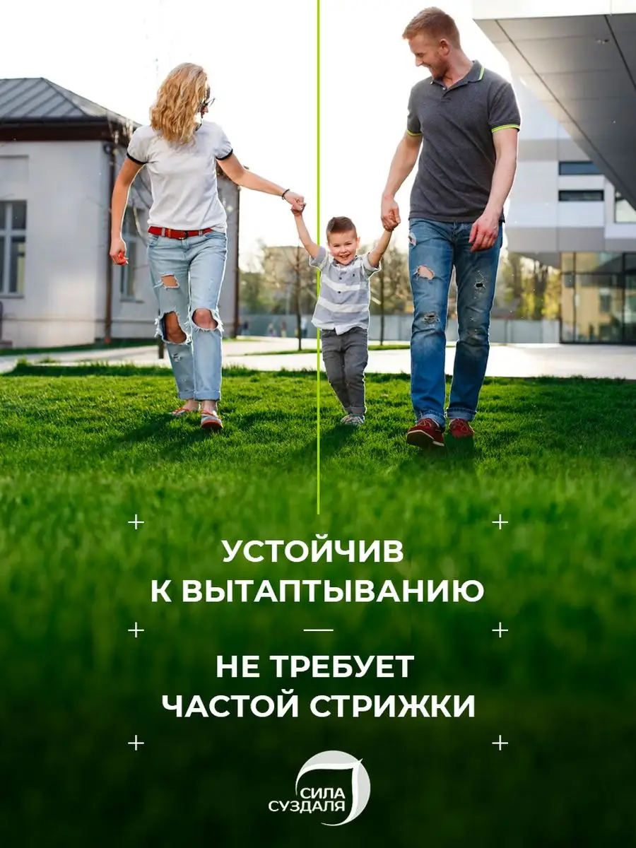 Семена Травы Для Газона Купить