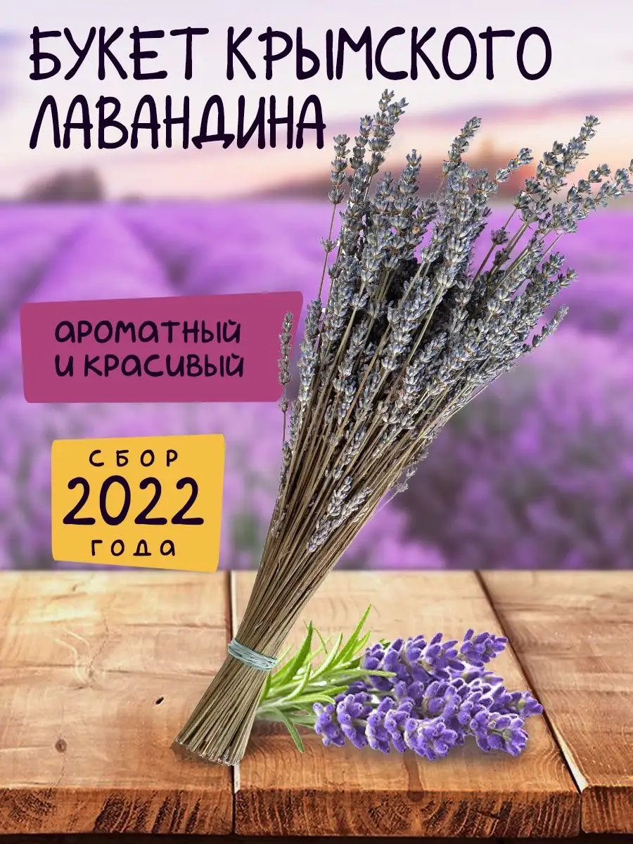 Сухоцветы для декора лаванда букет сушеная Травы Горного Крыма купить по  цене 0 сум в интернет-магазине Wildberries в Узбекистане | 35072237