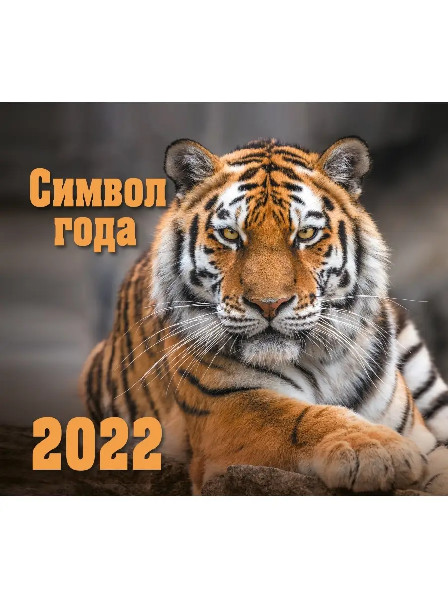 НД Плэй Календарь-домик (евро) на 2021 2022 год, Кошки Символ года