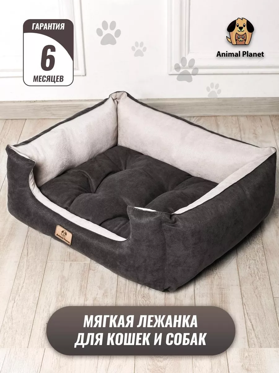 Animal planet 2024 dog bed