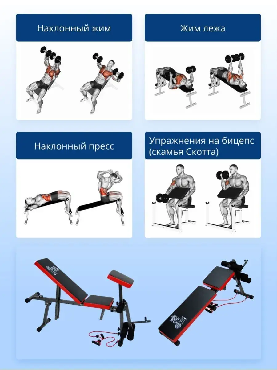 Скамья для жима пресса силовая,спортивная,складная FITRONIX купить по цене  0 сум в интернет-магазине Wildberries в Узбекистане | 37237886