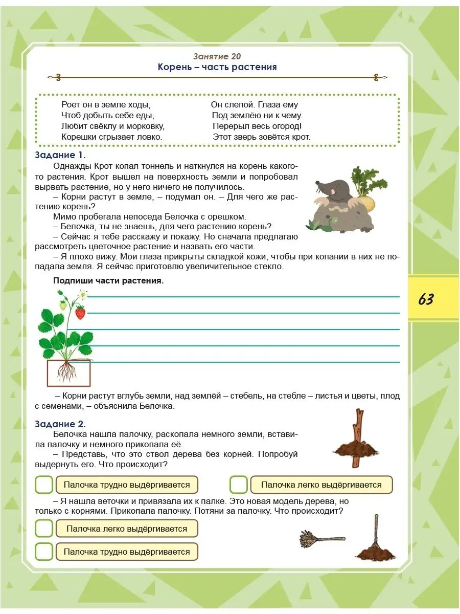 Функциональная грамотность тренажёр для школьников 3 класс. Функциональная грамотность 2 класс тренажер для школьников. Задания по функциональной грамотности по математике. Функциональная грамотность тренажёр для школьников 1 класс. Буряк функциональная грамотность 3 класс.