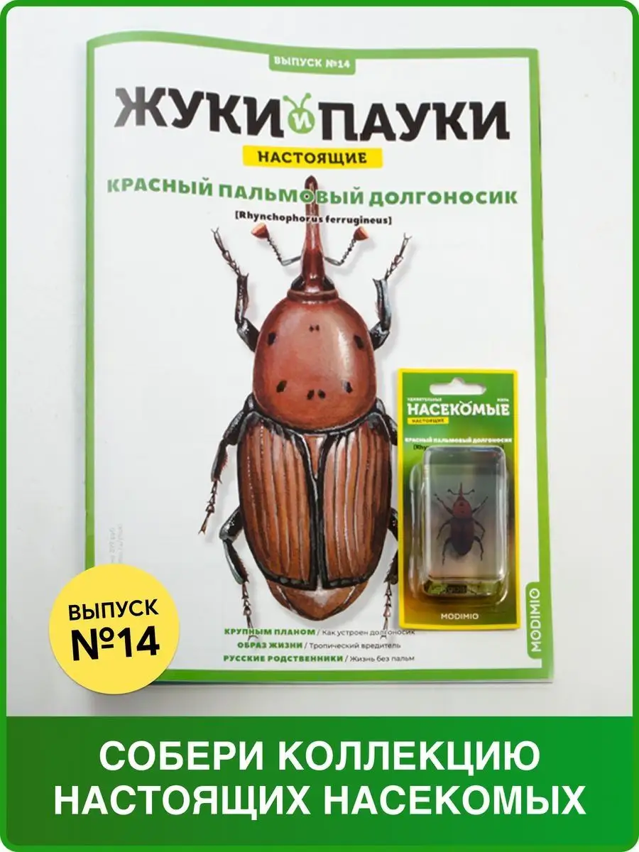 Жуки и пауки №14 Красный долгоносик MODIMIO купить по цене 0 сум в  интернет-магазине Wildberries в Узбекистане | 38765771
