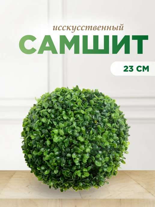 Посадка самшита | Outdoor, Outdoor decor, Stepping stones