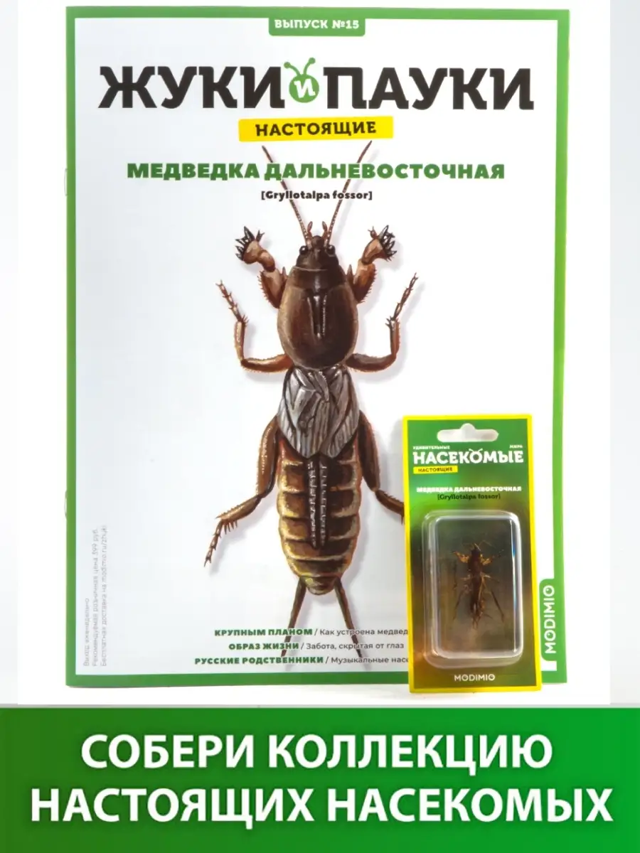 Выпуск №15 Жуки и пауки, Медведка дальневосточная MODIMIO купить по цене 0  сум в интернет-магазине Wildberries в Узбекистане | 39123834