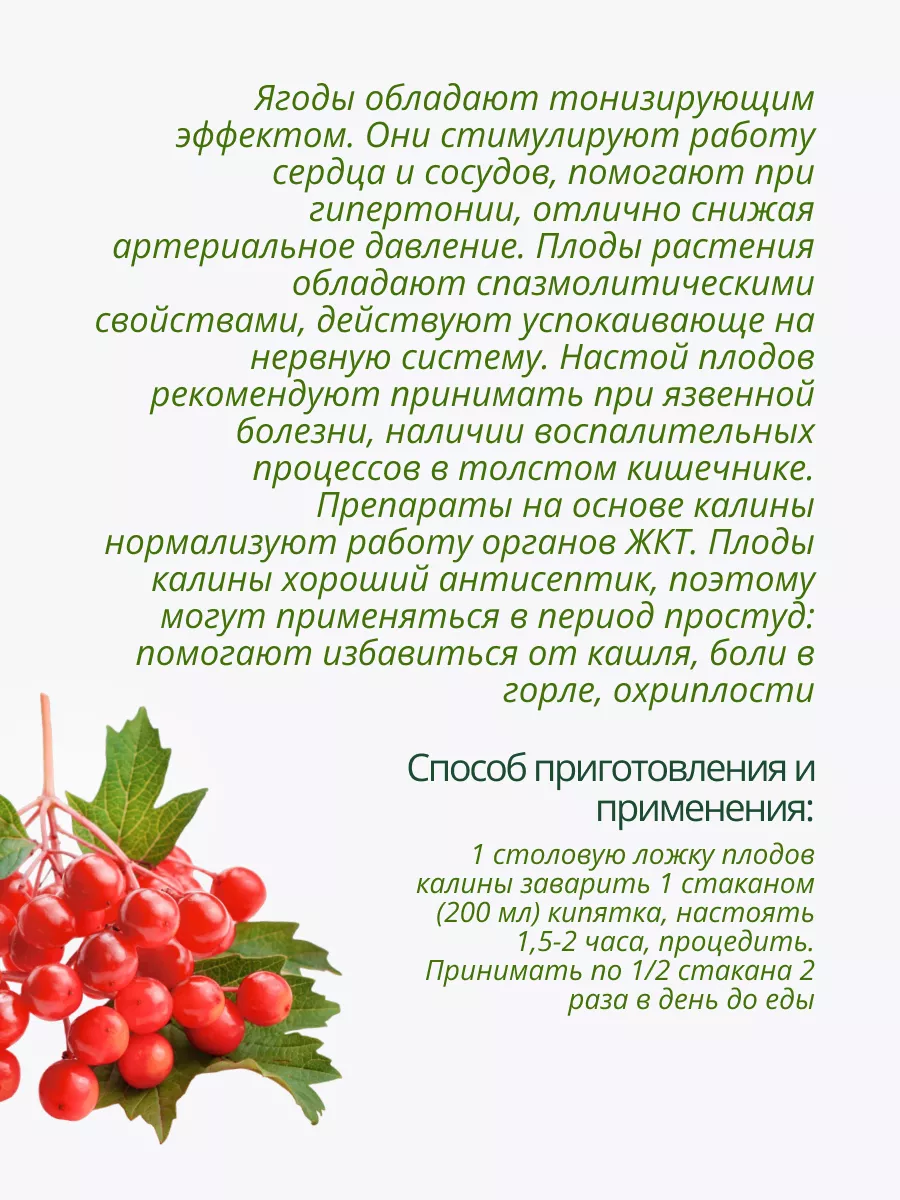 Калина плоды 50 г Целебные травы Лекрасэт купить по цене 204 ₽ в  интернет-магазине Wildberries | 39458582
