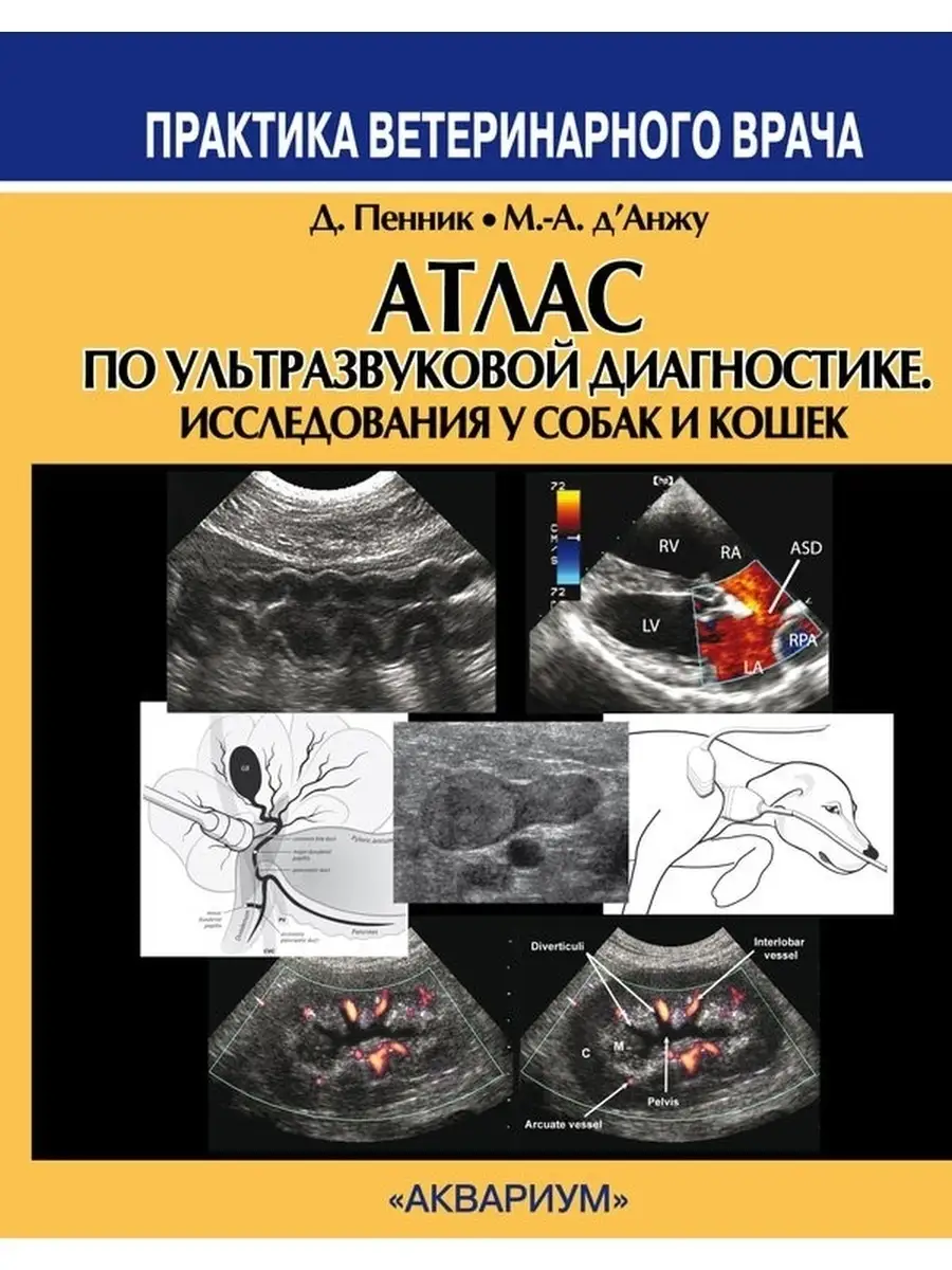 Атлас по УЗИ у собак и кошек Издательство Аквариум купить по цене 7 878 ₽ в  интернет-магазине Wildberries | 39661344