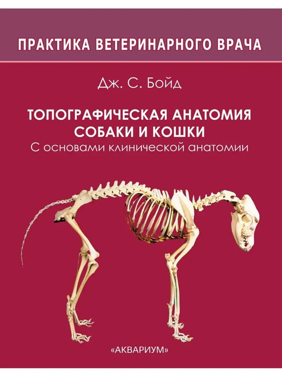 Топографическая анатомия собаки и кошки Издательство Аквариум купить по  цене 2 322 ₽ в интернет-магазине Wildberries | 39661360