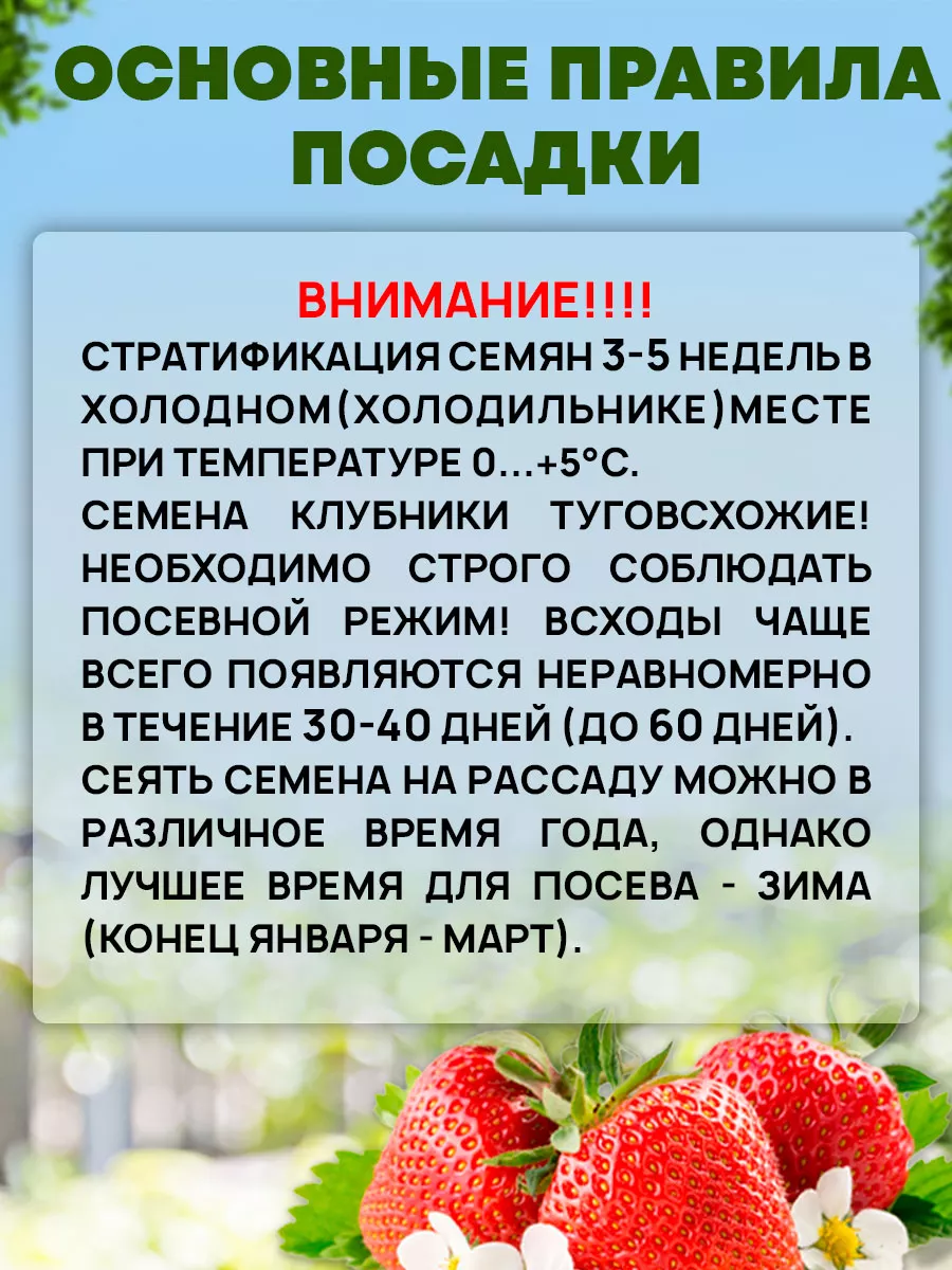 Семена Земляники Руяна ягод ремонтантной ранней сладкой Сибирский сад  купить по цене 0 сум в интернет-магазине Wildberries в Узбекистане |  40413684