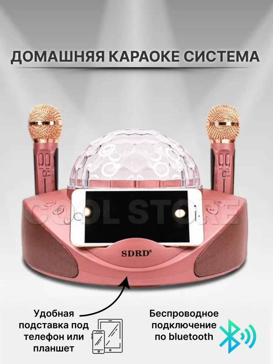 Караоке система домашняя SDRD SD-308