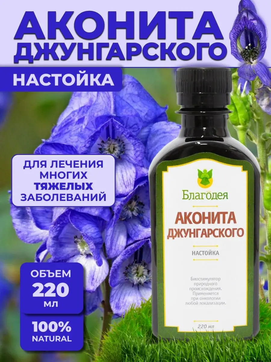 Аконит лекарство для чего. Аконит джунгарский. аконит настойка. аконит джунгарский корень. аконит гомеопатия.