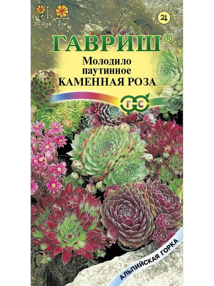 Семена МОЛОДИЛО КАМЕННЫЙ ЦВЕТОК ДАЧА ОНЛАЙН купить по цене 195 ₽ в  интернет-магазине Wildberries | 40741743