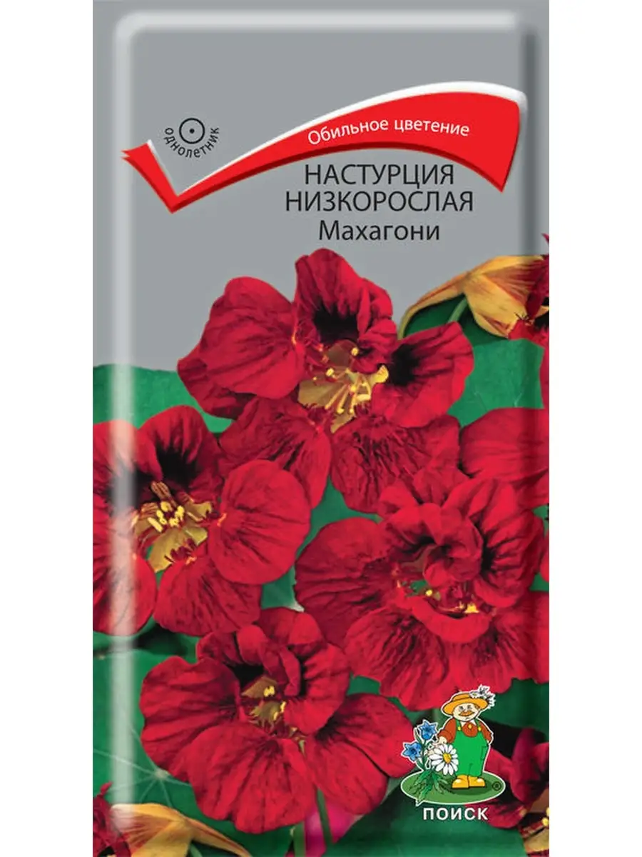 Настурция низкорослая Махагони (