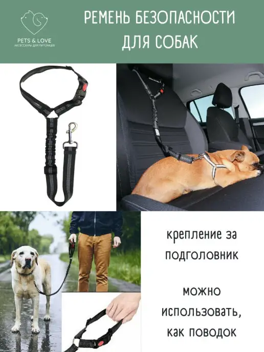 Автоаксессуары для собак