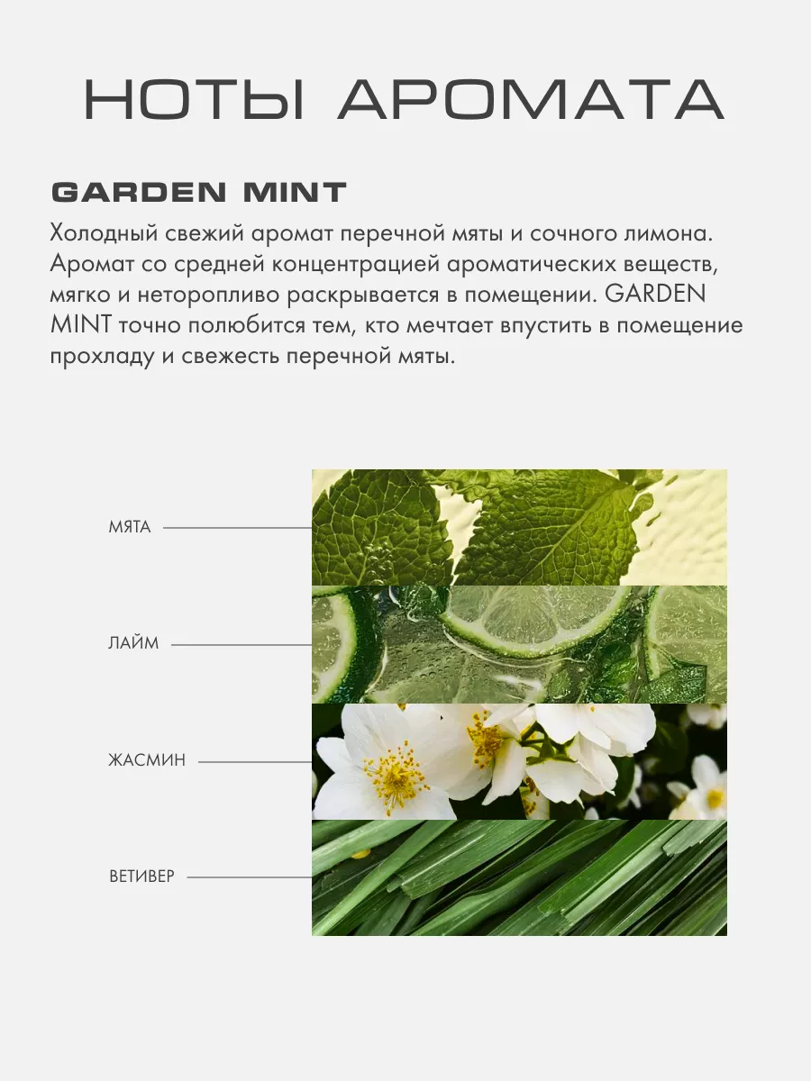 Саше ароматическое для дома и шкафа GARDEN MINT Kaori купить по цене 590 ₽  в интернет-магазине Wildberries | 42737323